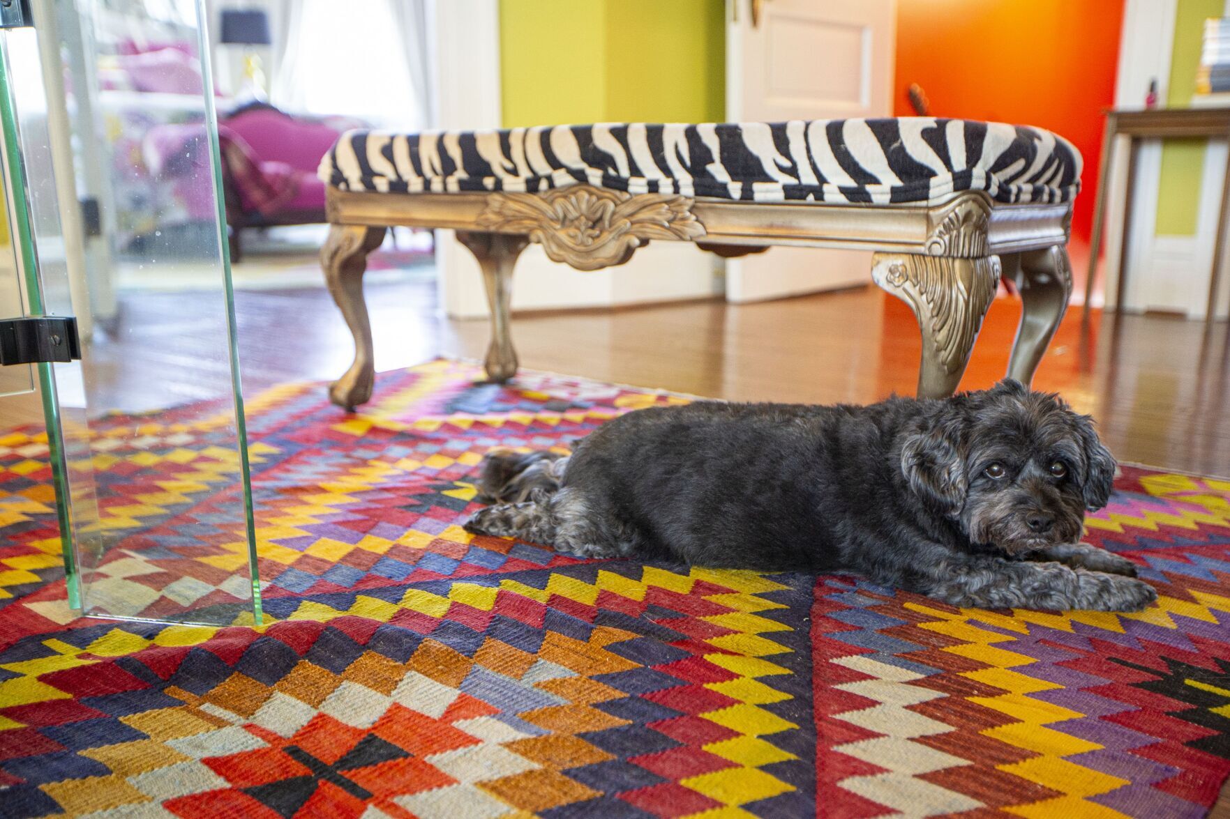 At Home: Karen Kalish colorful classic home